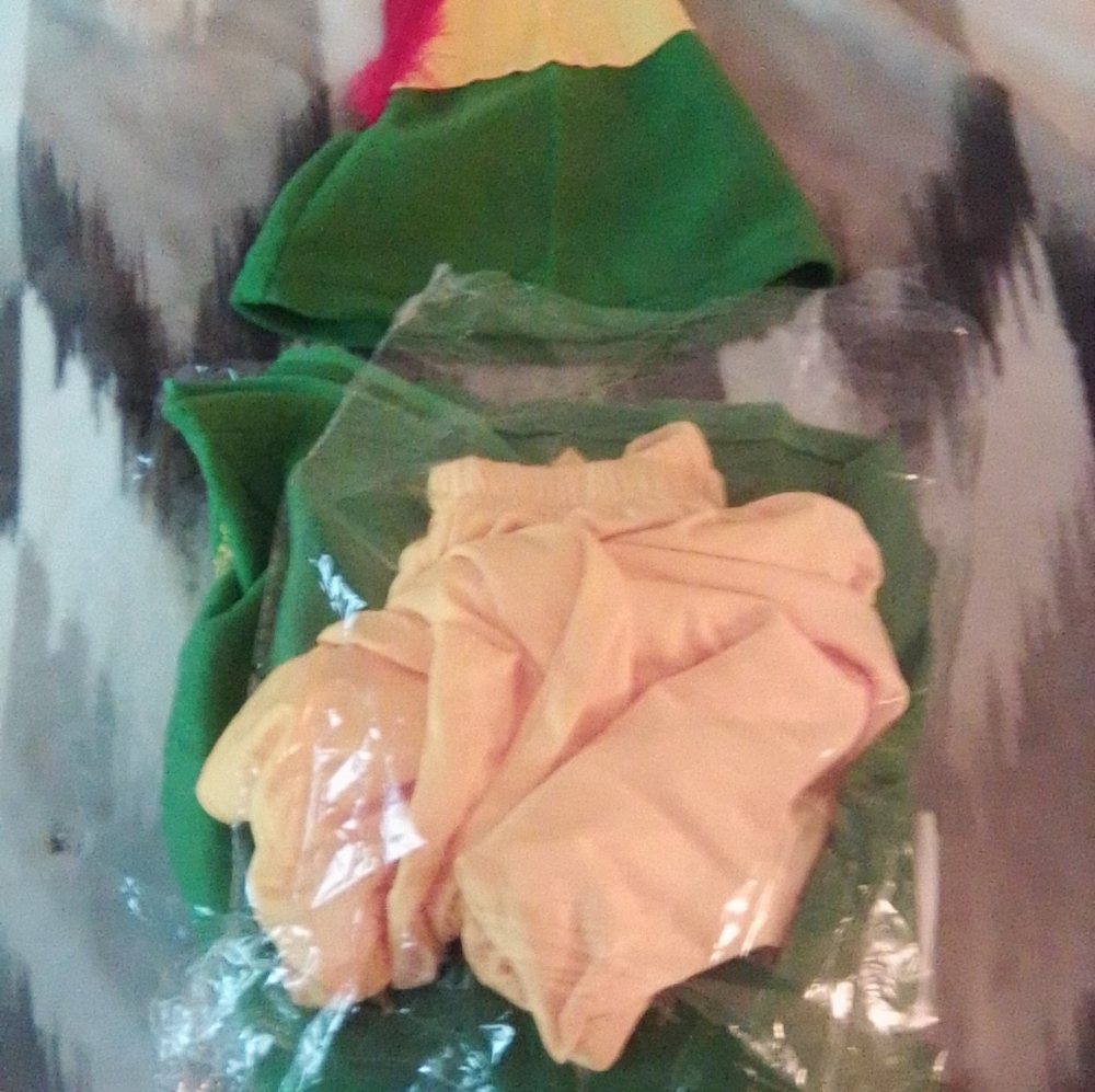 Buddy the elf adult costume